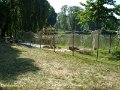DSC08926